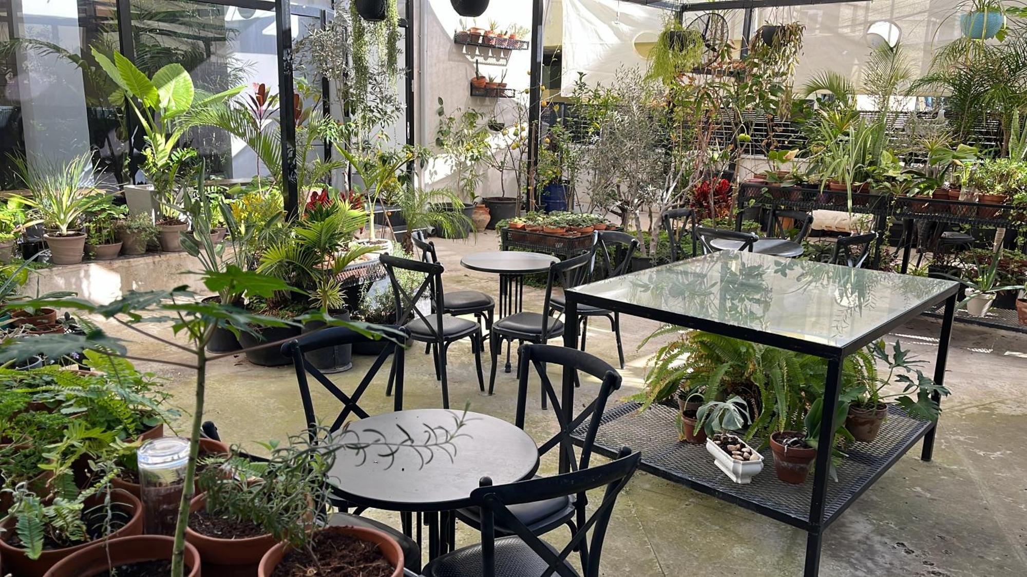 Bed and Breakfast Yona 8 Tel Aviv Exteriér fotografie